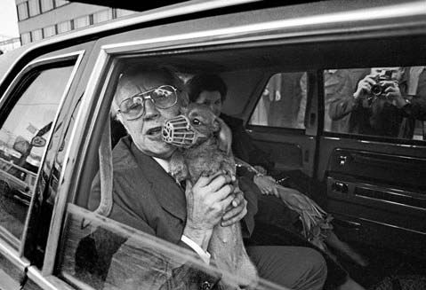 Александр Тягны-Рядно, Татьяна Щербина - Франция. Магический шестиугольник