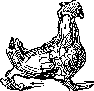 Ольга Гурьян - Набег