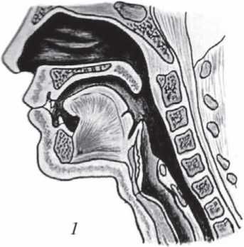 С. Каплун - Физика