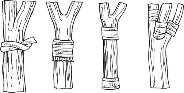 Сергей Кашин - Защита от болезней и вредителей сада и огорода. Эффективная...