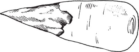 Сергей Кашин - Защита от болезней и вредителей сада и огорода. Эффективная...