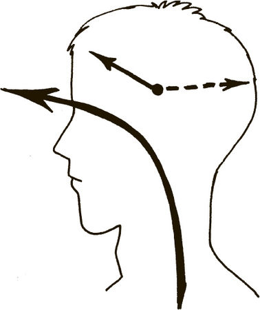 Дмитрий Верищагин - Техника одушевления предметов. Система навыков Дальнейшего...