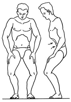 Геннадий Малахов - Биоэнергетика человека: пути повышения энергетического потенциала