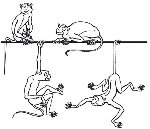 С. Каплун - Физика