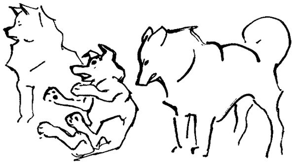 Борис Воробьев, Наталия Кравцова и др. - Искатель. 1971. Выпуск №1