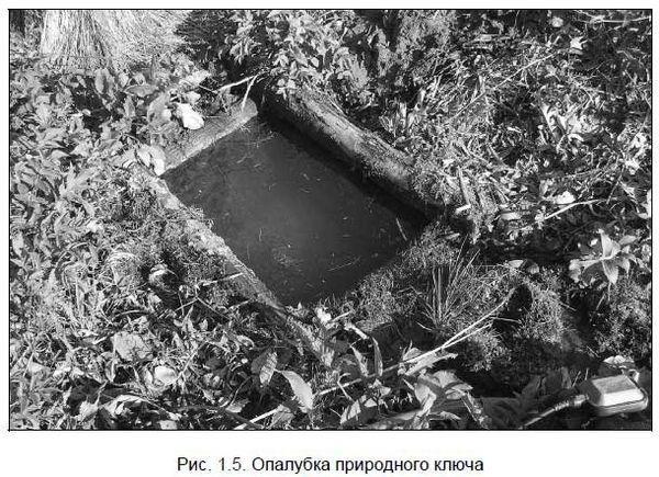 Андрей Кашкаров - Бывший горожанин в деревне. Курс выживания