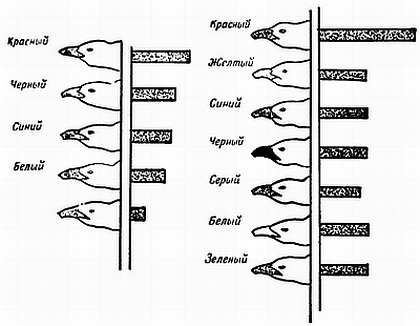 Рени Шовен - От пчелы до гориллы