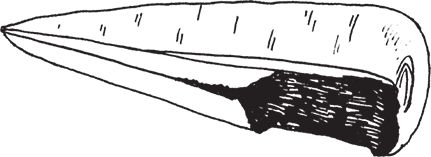 Сергей Кашин - Защита от болезней и вредителей сада и огорода. Эффективная...