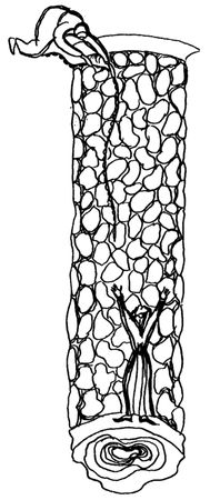 Вячеслав Рузов - Тайны, о которых не знал никто