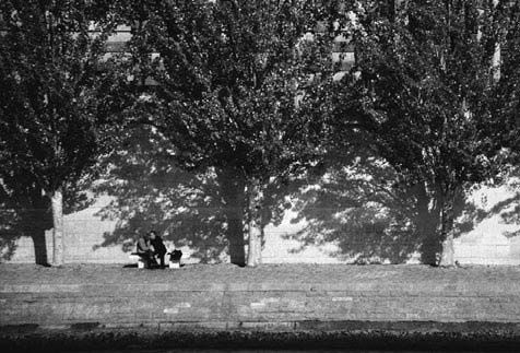 Александр Тягны-Рядно, Татьяна Щербина - Франция. Магический шестиугольник