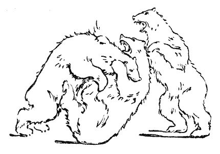 Мор Йокаи - 20 000 лет подо льдом