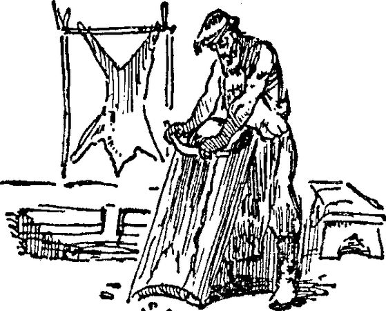 Ольга Гурьян - Набег