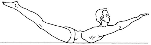 Биоэнергетика человека: пути повышения...