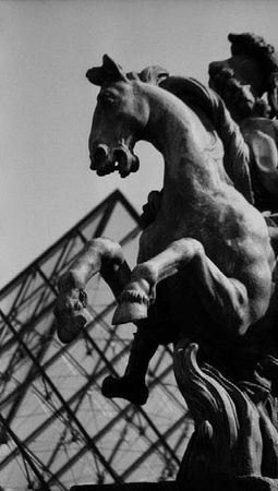 Александр Тягны-Рядно, Татьяна Щербина - Франция. Магический шестиугольник