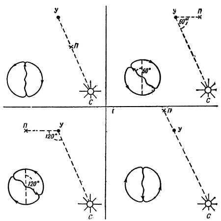 Рени Шовен - От пчелы до гориллы