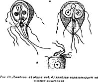 Геннадий Малахов - Жизнь без паразитов