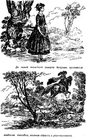 Томас Рид - Собрание сочинений, том 5. Белая перчатка. В дебрях Борнео. В...