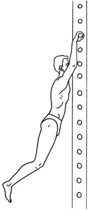 Геннадий Малахов - Биоэнергетика человека: пути повышения энергетического потенциала