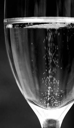 Александр Тягны-Рядно, Татьяна Щербина - Франция. Магический шестиугольник