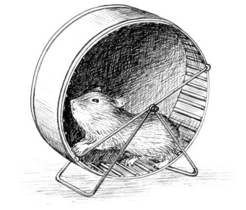 Дарья Нестерова - Хомячки