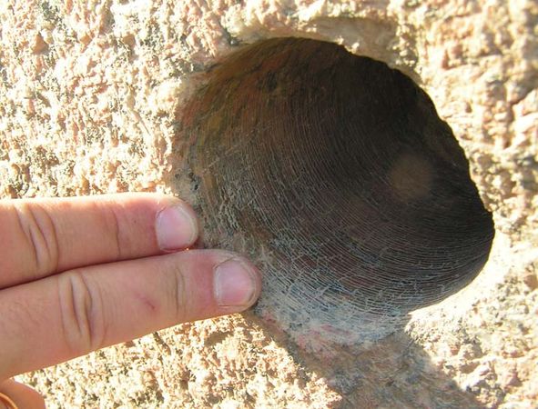 Андрей Скляров - Обитаемый остров Земля