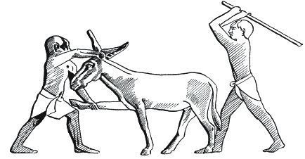 Джон Уайт - Боги и люди Древнего Египта