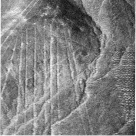 Эрих Фон Дэникен - Загадочные рисунки Наска