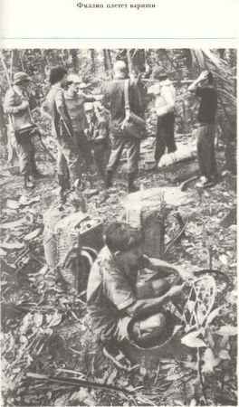 Хеймиш Макиннинс - Восхождение в затерянный мир