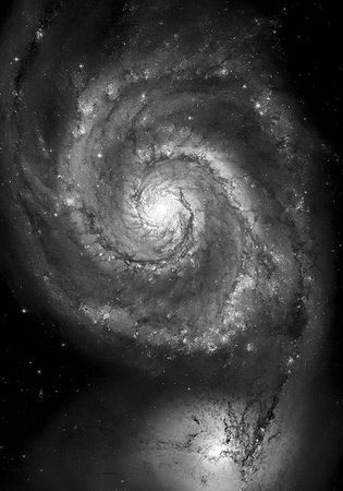 Артемий Троицкий - Poplex