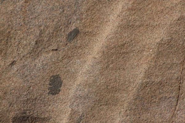 Андрей Скляров - Обитаемый остров Земля