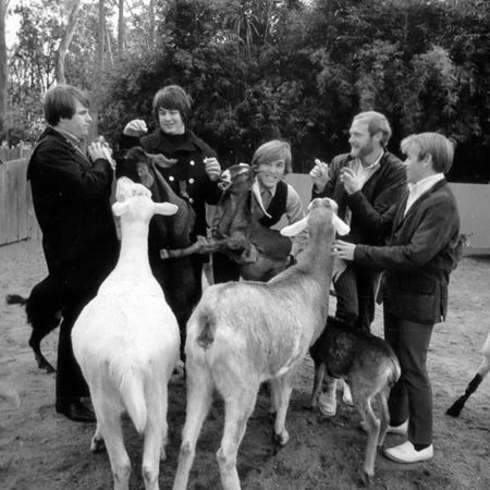 Артемий Троицкий - Poplex