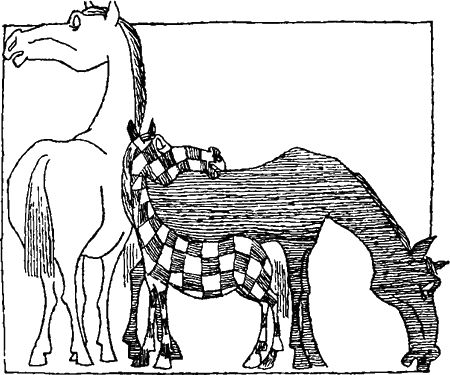 Игорь Акимушкин - Занимательная биология