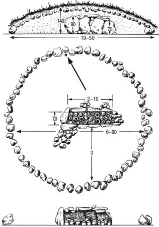 Мария Гимбутас - Балты. Люди янтарного моря