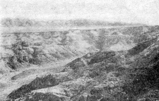 Анатолий Рождественский - На поиски динозавров в Гоби