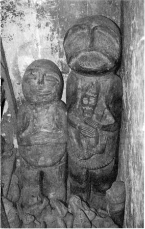 Эрих Фон Дэникен - Загадочные рисунки Наска