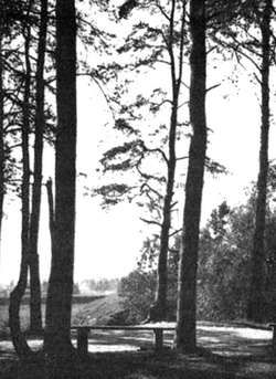 Сергей Глезеров - Коломяги и Комендантский аэродром. Прошлое и настоящее