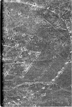 Эрих Фон Дэникен - Загадочные рисунки Наска