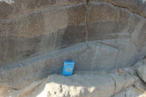 Андрей Скляров - Обитаемый остров Земля