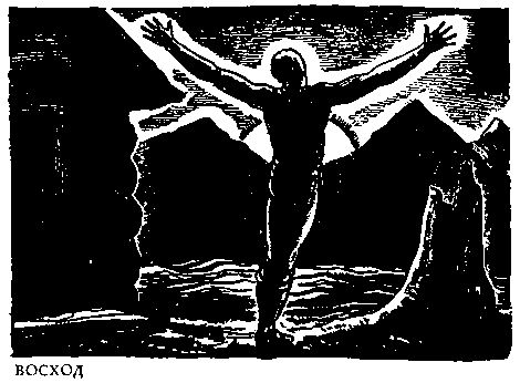 Рокуэлл Кент - В диком краю