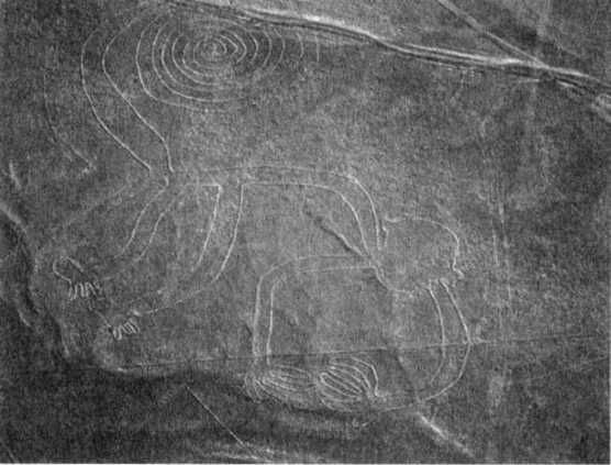 Эрих Фон Дэникен - Загадочные рисунки Наска