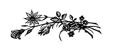 Козьма Прутков - Смотри в корень!