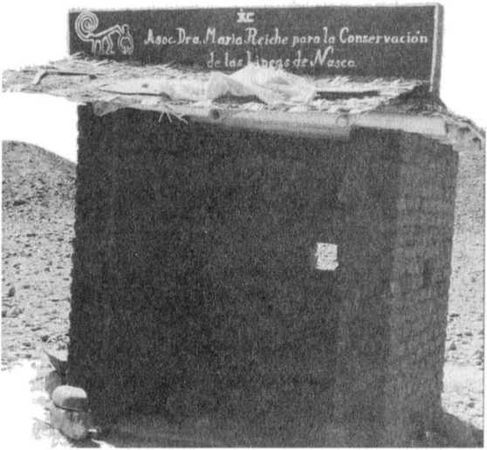 Эрих Фон Дэникен - Загадочные рисунки Наска