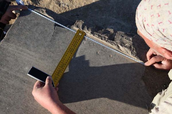 Андрей Скляров - Обитаемый остров Земля