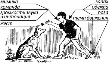 Константин Платонов - Занимательная психология