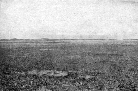 Анатолий Рождественский - На поиски динозавров в Гоби