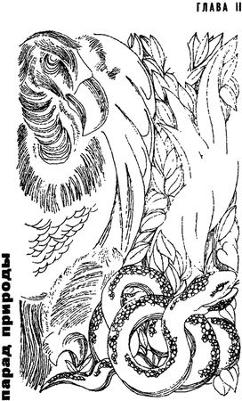 Игорь Акимушкин - Занимательная биология