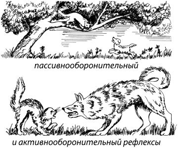 Константин Платонов - Занимательная психология