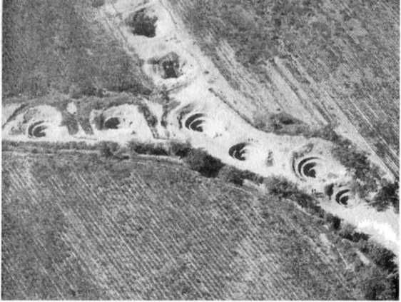 Эрих Фон Дэникен - Загадочные рисунки Наска