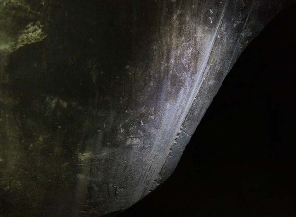 Андрей Скляров - Обитаемый остров Земля