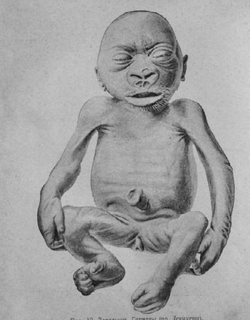 Илья Мечников - Этюды о природе человека